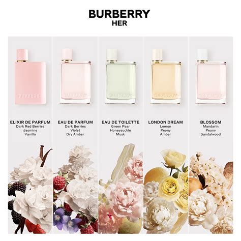 burberry her edt notes|Burberry brit for her fragrantica.